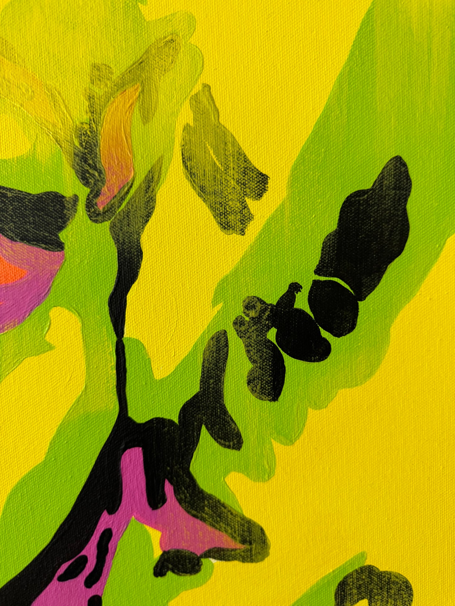 Wir sind alle Sterne, und wir verdienen es zu strahlen